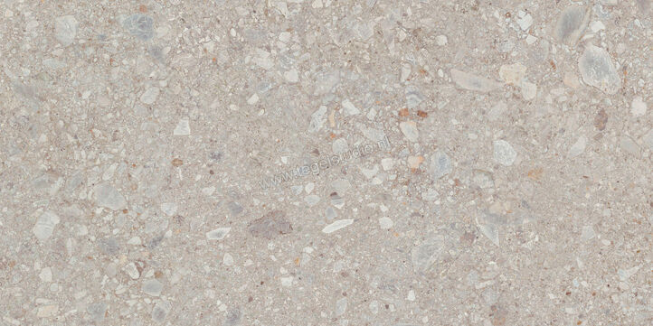 Marazzi Mystone Ceppo Di Gr Grey Vloertegel X Cm M Ez R A