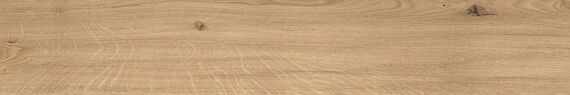 Kleuren-Atlas-Concorde-Log-Icon-Oak-Forest