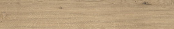 Kleuren-Atlas-Concorde-Log-Moon-Oak-Forest