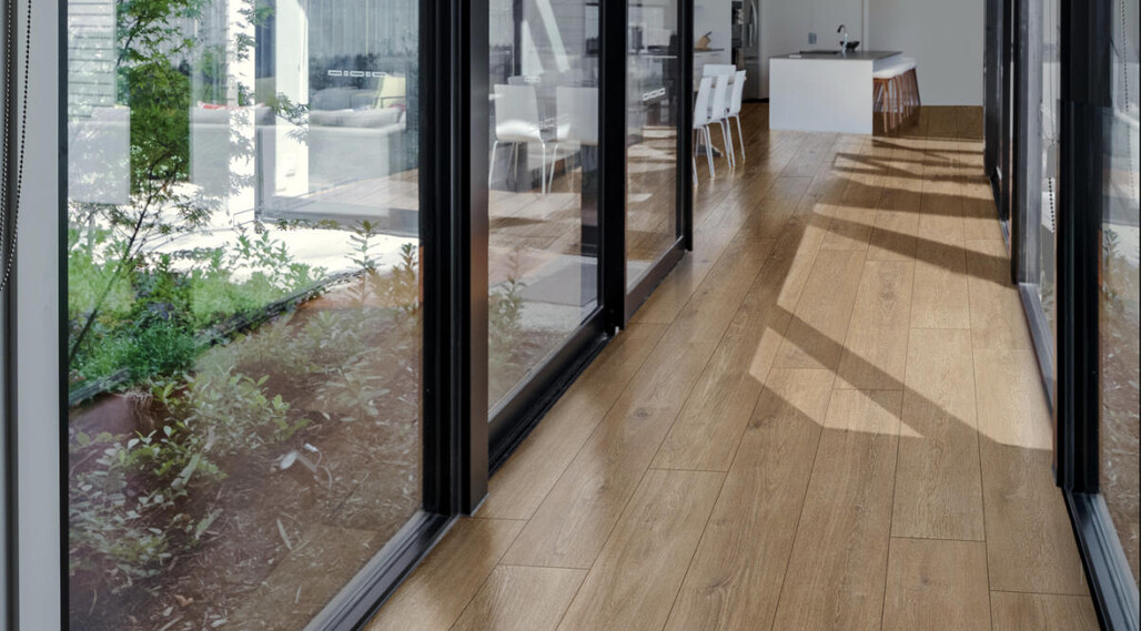 ragno-ossimori-miele-25x150