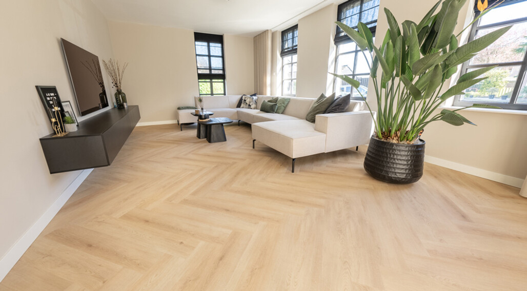 Floer Walvisgraat van Nederlandse bodem