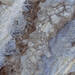 Sant Agostino Mystic Pearl