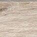 Sant Agostino Barkwood White