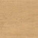 Atlas Concorde Entice Outdoor Ash