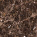Marazzi Allmarble Emperador Lux