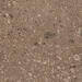 Marazzi Mystone - Ceppo di Gré Beige
