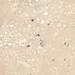 Sant Agostino Logico Cosmo Sand