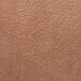 Topcollection Argillae Nisus Nocta