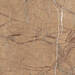 Imola Ceramica The Rock Outdoor Gold