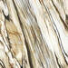 Imola Ceramica The Room Grand Antique D'Aubert