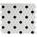 Aquacolor Porcelain White & Black Hexagon