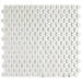 Aquacolor Porcelain White Penny round