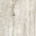 Mirage Elysian Travertini Outdoor Travertino misty