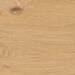 NovaBell Noor Amber