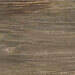 TopCollection Shireen Mocca