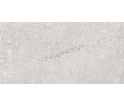 Emil Ceramica Chateau Gris 40x80 cm Vloertegel / Wandtegel Glanzend Gestructureerd Lappato EFMU | 2