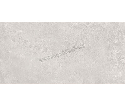 Emilceramica Chateau Gris 60x120 cm Vloertegel / Wandtegel Glanzend Gestructureerd Lappato EFMC | 2