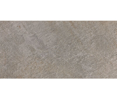 Atlas Concorde Trust Outdoor Silver 60x120x2 cm Terrastegel Mat Gestructureerd Naturale AY4D | 1