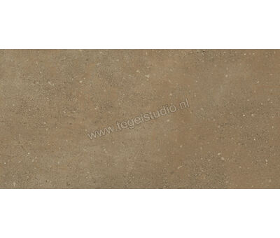 Agrob Buchtal Nova Mittelbraun 60x120 cm Vloertegel / Wandtegel HT 431847H | 1