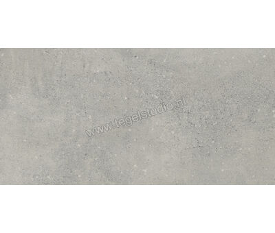 Agrob Buchtal Nova Mittelgrau 60x120 cm Vloertegel / Wandtegel HT 431848H | 1