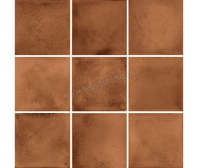 Agrob Buchtal Karl Terra 30x30 cm Mozaiek 10X10 Mat Gestructureerd Ht afwerking 47277H | 5