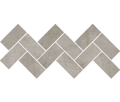 Keraben Boreal Grey 25x34 cm Mozaiek Espiga Mat Vlak Naturale GT86G010 | 1