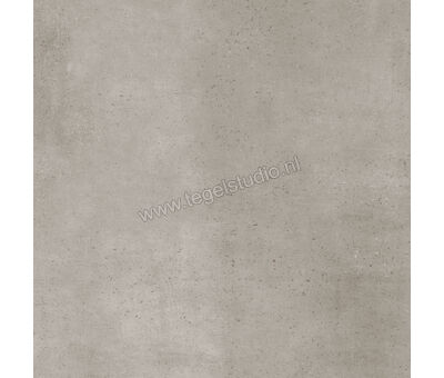 Keraben Boreal Grey 60x60 cm Vloertegel / Wandtegel Mat Vlak Naturale GT842010 | 2