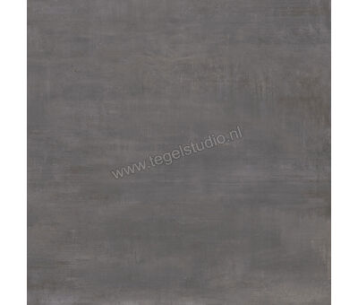 Century Titan Aluminium 60x60 cm Vloertegel / Wandtegel Mat Vlak Naturale CV0107236 | 2
