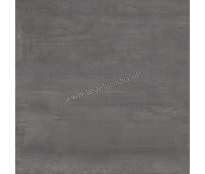 Century Titan Aluminium 60x60 cm Vloertegel / Wandtegel Mat Vlak Naturale CV0107236 | 3