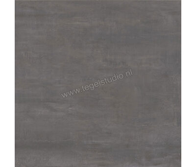 Century Titan Aluminium 60x60 cm Vloertegel / Wandtegel Mat Vlak Naturale CV0107236 | 4