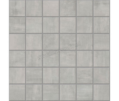 Century Titan Platinum 30x30 cm Mozaiek 4,7X4,7 Mat Vlak Naturale CV0107251 | 1