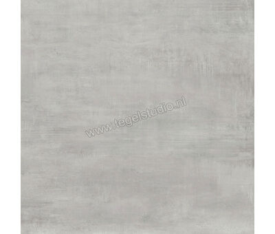 Century Titan Platinum 60x60 cm Vloertegel / Wandtegel Mat Vlak Naturale CV0107237 | 1