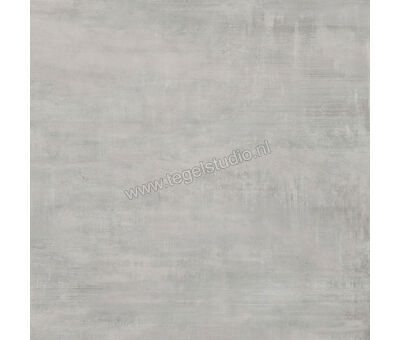 Century Titan Platinum 60x60 cm Vloertegel / Wandtegel Mat Vlak Naturale CV0107237 | 2