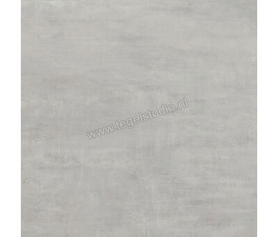 Century Titan Platinum 60x60 cm Vloertegel / Wandtegel Mat Vlak Naturale CV0107237 | 3
