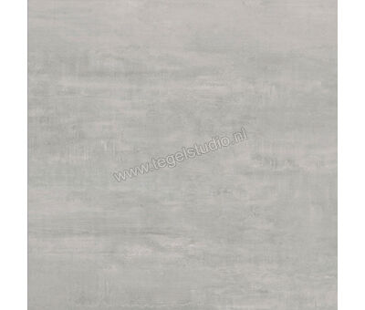Century Titan Platinum 60x60 cm Vloertegel / Wandtegel Mat Vlak Naturale CV0107237 | 4