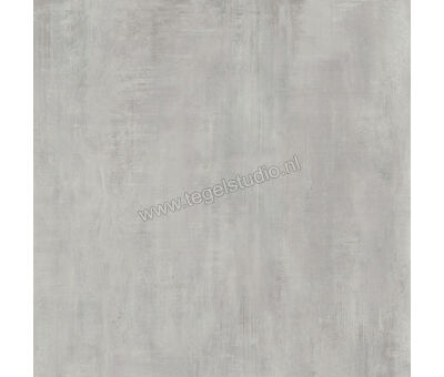 Century Titan Platinum 80x80 cm Vloertegel / Wandtegel Mat Vlak Naturale CV0107229 | 1