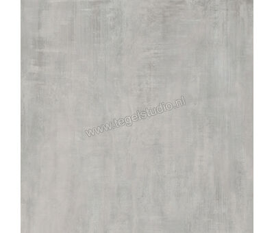 Century Titan Platinum 80x80 cm Vloertegel / Wandtegel Mat Vlak Naturale CV0107229 | 2