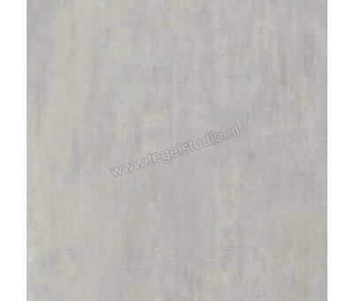 Century Titan Platinum 80x80 cm Vloertegel / Wandtegel Mat Vlak Naturale CV0107229 | 3