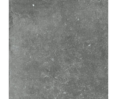 Flaviker Nordik Stone Grey 60x60 cm Vloertegel / Wandtegel Mat Gestructureerd Naturale PF60004159 | 1