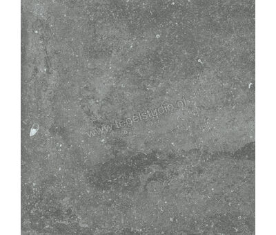 Flaviker Nordik Stone Grey 60x60 cm Vloertegel / Wandtegel Mat Gestructureerd Grip PF60004895 | 1