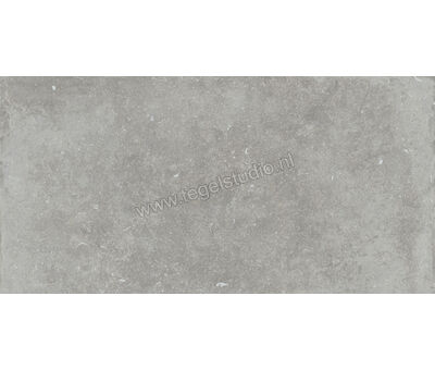 Flaviker Nordik Stone Ash 60x120 cm Vloertegel / Wandtegel Mat Gestructureerd Naturale PF60004832 | 1