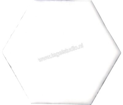 Alcoceram Manual Exagono Blanco 115x10 cm Wandtegel Glanzend Vlak EX1101 | 1