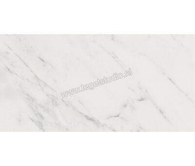 Keraben Evoque Blanco 25x50 cm Wandtegel Glanzend KJNTP020 | 1
