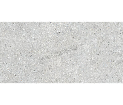 Keraben Underground Grey 30x60 cm Vloertegel / Wandtegel Mat Vlak Naturale GZW05010 | 1