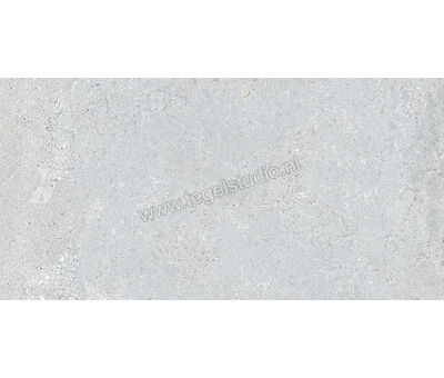 Keraben Underground Grey 30x60 cm Vloertegel / Wandtegel Mat Vlak Naturale GZW05010 | 2