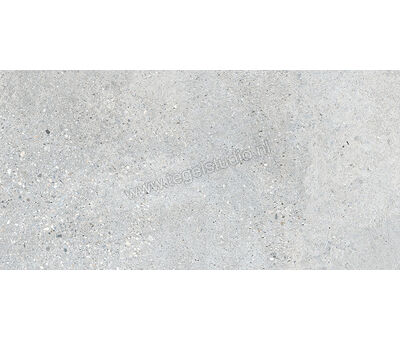 Keraben Underground Grey 30x60 cm Vloertegel / Wandtegel Mat Vlak Naturale GZW05010 | 6