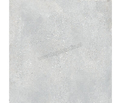 Keraben Underground Grey 90x90 cm Vloertegel / Wandtegel Mat Vlak Naturale GZW6N010 | 4