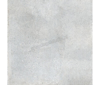 Keraben Underground Grey 90x90 cm Vloertegel / Wandtegel Mat Vlak Naturale GZW6N010 | 5