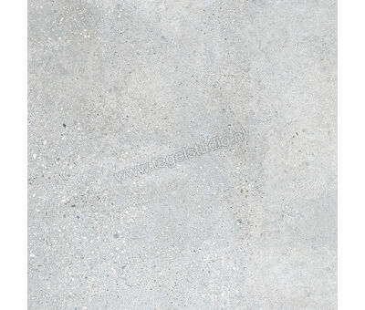 Keraben Underground Grey 60x60 cm Vloertegel / Wandtegel Mat Vlak Naturale GZW42010 | 6