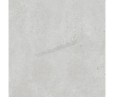 Keraben Underground Grey 60x60 cm Vloertegel / Wandtegel Mat Vlak Naturale GZW42010 | 8